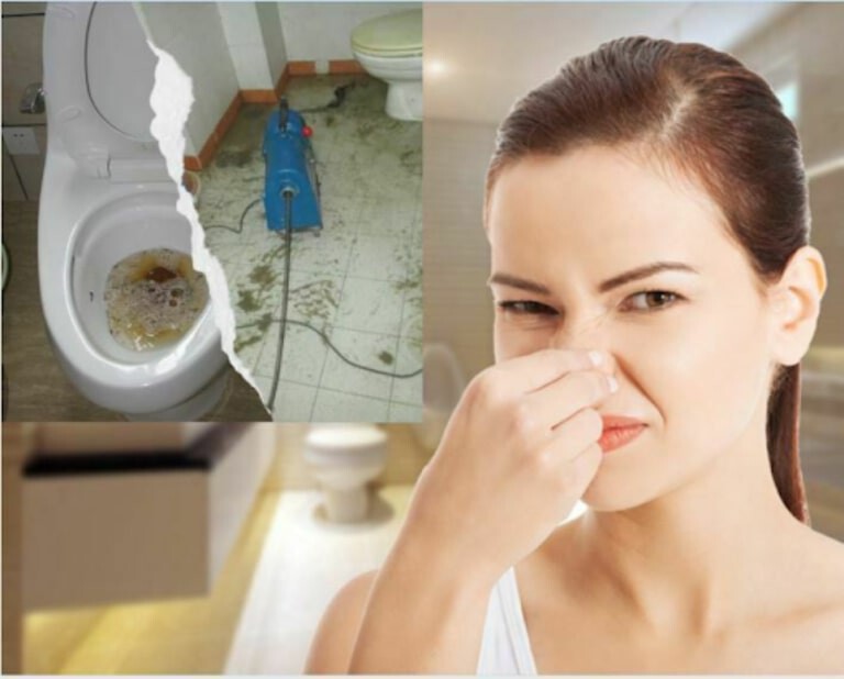 Xuất hiện mùi hôi thối bốc ra từ nhà vệ sinh